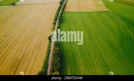 Vista aerea della strada ferroviaria tra i campi agricoli nei giorni estivi. Foto Stock