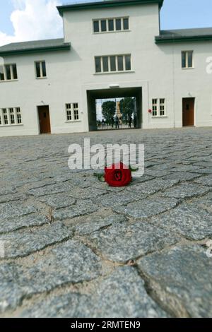 (140901) -- FRANCOFORTE (GERMANIA), 1 settembre 2014 -- Un fiore rosso è visto davanti all'ingresso della torre A nel sito dell'ex campo di concentramento nazista di Sachsenhausen a Oranienburg, vicino a Berlino, in Germania, il 21 agosto 2014. Il campo di concentramento nazista di Sachsenhausen fu costruito a Oranienburg a circa 35 km a nord di Berlino nel 1936 e imprigionò circa 220.000 persone tra il 1936 e il 1945. Il sito ora è servito come memoriale e museo per conoscere la storia all'interno dei dintorni autentici, tra cui i resti di edifici e altre reliquie del campo. ) CONCENTRAZIONE GERMANIA-SACHSENHAUSEN Foto Stock