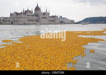 (140901) -- BUDAPEST, -- migliaia di anatre di gomma galleggiano lungo il Danubio di fronte all'edificio del Parlamento durante una corsa di anatre di gomma a Budapest, in Ungheria, il 31 agosto 2014. Quasi 52.000 anatre di gomma sono state gettate nel Danubio. ) UNGHERIA-BUDAPEST-GOMMA ANATRA CORSA AttilaxVolgyi PUBLICATIONxNOTxINxCHN Budapest migliaia di anatre di gomma galleggiano lungo il Danubio di fronte al Parlamento durante una corsa di anatre di gomma in beneficenza a Budapest Ungheria IL 31 2014 agosto 52 000 parrocchiani di gomma sono stati lanciati nel Danubio Ungheria Budapest Rubber Duck Race ATTILAxVOLGYI PUBL Foto Stock