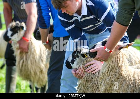 Reeth Show 2023, North Yorkshire Foto Stock