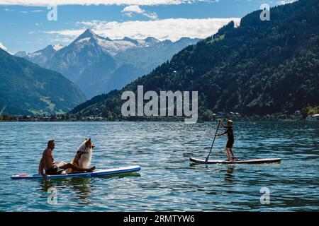 Paddle boarder che dà al suo cane un giro su Zeller SEE, Zell am SEE, Salzburgerland, Austria Foto Stock