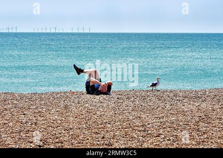 Un giovane sdraiato sulla spiaggia di ciottoli prendendo il sole con un gabbiano di aringhe seduto accanto a lui, con un parco eolico all'orizzonte, Worthing Sussex Inghilterra Regno Unito Foto Stock