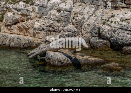 Spiaggia di Mikule Drazic Penisola di Kamenjak Pola in Croazia Foto Stock