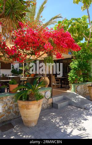 Kos, Grecia - 8 maggio 2023: Fiori estivi sulla strada nel resort di Mastichari sull'isola di Kos Foto Stock