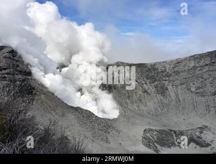 (141031) -- SANTA CRUZ DE TURRIALBA, 30 ottobre 2014 -- immagine fornita dalla rete nazionale sismologica delle colonne di fumo che si innalzano dal vulcano Turrialba dopo un'eruzione, vicino a Santa Cruz de Turrialba, 65 km a nord-est di San Jose, capitale della Costa Rica, il 30 ottobre 2014. Il vulcano Turrialba ha presentato un'eruzione di ceneri e pietre giovedì, provocando l'evacuazione dei residenti che vivono nell'area circostante, secondo la stampa locale. Rete nazionale sismologica) (rt) COSTA RICA-SANTA CRUZ DE TURRIABLA-AMBIENTE-VULCANO KENTxGILBERT PUBLICATIONxNOTxINxCHN Santa Cruz de Tur Foto Stock