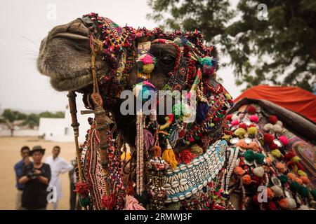 (141031) -- RAJASTHAN, 31 ottobre 2014 -- la foto scattata il 31 ottobre 2014 mostra un cammello decorato dall'artista locale Ashok Tak durante una mostra di decorazione di cammelli nella Camel Fair a Pushkar del Rajasthan, India. Migliaia di commercianti di bestiame vengono alla tradizionale fiera annuale dei cammelli, dove vengono commerciati bestiame, principalmente cammelli. Questa fiera è una delle più grandi fiere mondiali di cammelli. INDIA-RAJASTHAN-PUSHKAR-CAMEL FAIR ZhengxHuansong PUBLICATIONxNOTxINxCHN Rajasthan ottobre 31 2014 la foto scattata IL 31 2014 ottobre mostra un cammello decorato dall'artista locale Ashok Tak durante uno spettacolo di decorazione del cammello nella Fiera del cammello a PU Foto Stock
