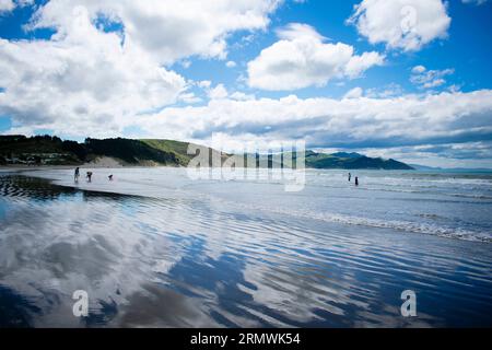 Castlepoint Beach, North Island, nuova Zelanda Foto Stock