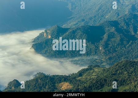 Alba, nebbia mattutina e montagna, Phu chi Dao Foto Stock