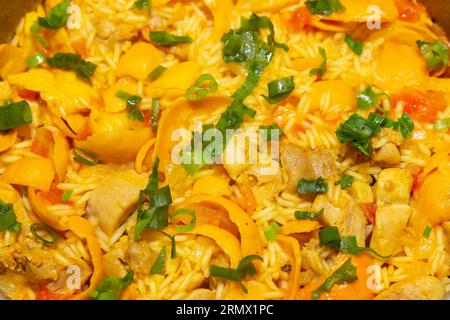 Tradizionale "Galinhada Goiana" a base di riso, pollo e pequi (caryocar di Brasilia). hoopoe di pequi Foto Stock