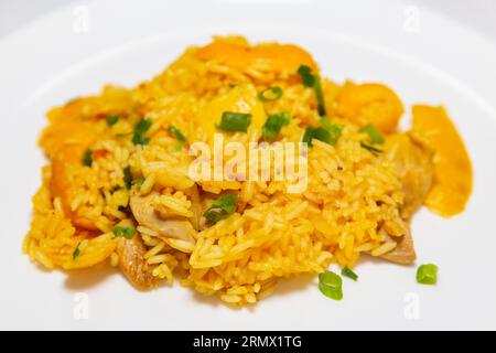 Tradizionale "Galinhada Goiana" a base di riso, pollo e pequi (caryocar di Brasilia). hoopoe di pequi Foto Stock