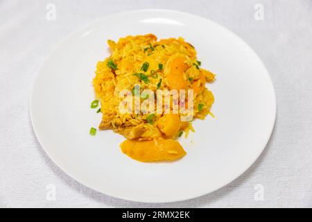 Tradizionale "Galinhada Goiana" a base di riso, pollo e pequi (caryocar di Brasilia). hoopoe di pequi Foto Stock