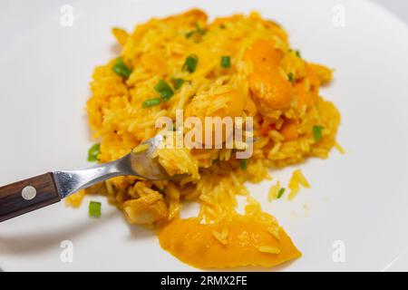 Tradizionale "Galinhada Goiana" a base di riso, pollo e pequi (caryocar di Brasilia). hoopoe di pequi Foto Stock