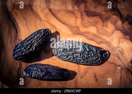 fagiolo di tonka olandese marrone su legno d'oliva Foto Stock