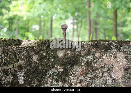 A single vintage handmade metal nail sticking out of an abandoned concrete foundation. Stock Photo