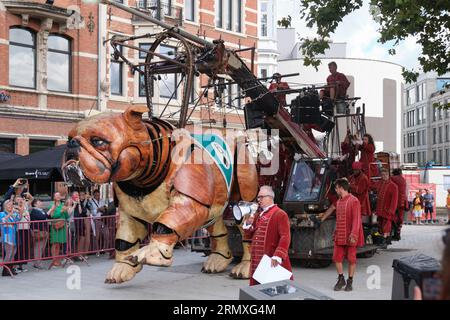 Il teatro di strada Royal de Luxe Marionette si esibisce ad Anversa, Belgio Foto Stock