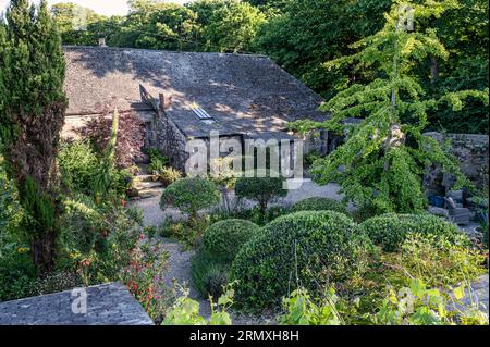 Giardino murato piantato con alberi tagliati. Conversione di loft di fiori del XVIII secolo vicino a Penzance in Cornovaglia, Regno Unito Foto Stock