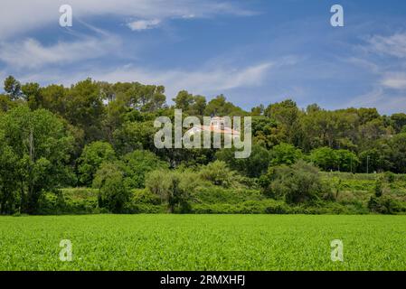 Campi verdi e una casa nella foresta di Santa Eulàlia de Roncana (Vallès Oriental, Barcellona, Catalogna, Spagna) ESP: Campos verdes y una casa Foto Stock