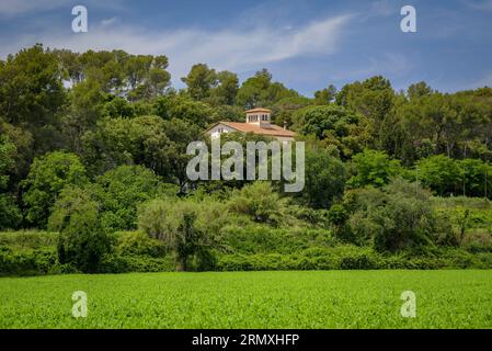 Campi verdi e una casa nella foresta di Santa Eulàlia de Roncana (Vallès Oriental, Barcellona, Catalogna, Spagna) ESP: Campos verdes y una casa Foto Stock