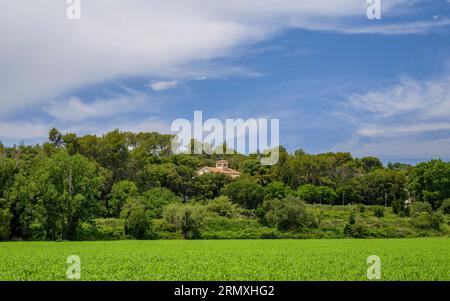 Campi verdi e una casa nella foresta di Santa Eulàlia de Roncana (Vallès Oriental, Barcellona, Catalogna, Spagna) ESP: Campos verdes y una casa Foto Stock