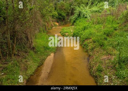 Dintorni del fiume Tenes che attraversa Santa Eulàlia de Roncaana in primavera (Vallès Oriental, Barcellona, Catalogna, Spagna) Foto Stock