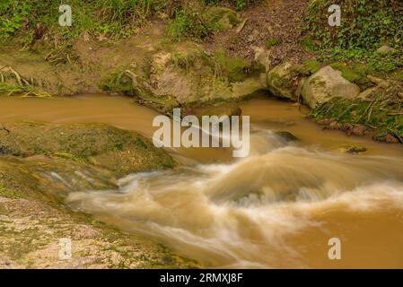 Dintorni del fiume Tenes che attraversa Santa Eulàlia de Roncaana in primavera (Vallès Oriental, Barcellona, Catalogna, Spagna) Foto Stock