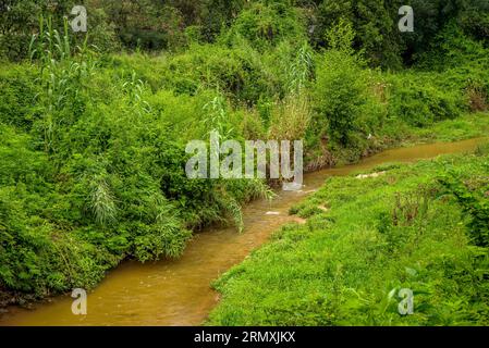 Dintorni del fiume Tenes che attraversa Santa Eulàlia de Roncaana in primavera (Vallès Oriental, Barcellona, Catalogna, Spagna) Foto Stock