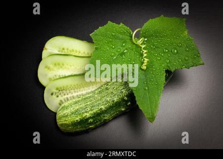 Cucumber slices with leaf and spiral tendril on black background Stock Photo