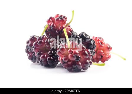 Gelso biologico maturo isolato su bianco Foto Stock