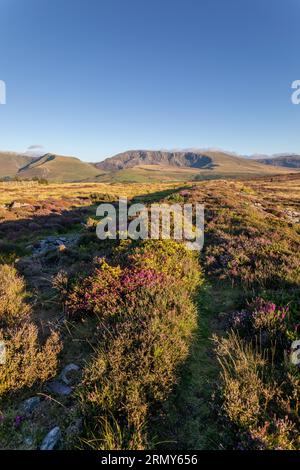 Hebog e Nantlle Ridge, Gwynedd, Galles Foto Stock