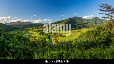Ampio panorama di una vista mattutina sulla valle di Hanalei e rifugio faunistico dal punto panoramico di Princeville Foto Stock