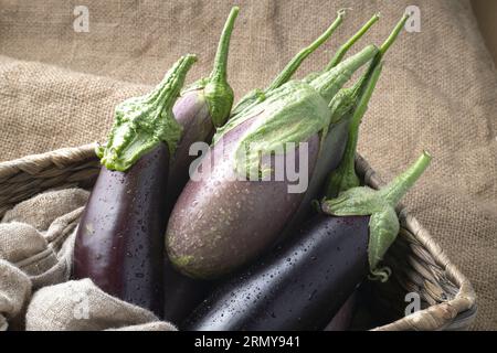 Una foto ravvicinata di natura morta di vari tipi di melanzane appena raccolte sedute all'interno di un cestino di vimini. Foto Stock