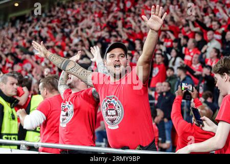 Eindhoven, Paesi Bassi. 30 agosto 2023. EINDHOVEN, PAESI BASSI - AGOSTO 30: Fan del PSV festeggia il match di qualificazione della UEFA Champions League tra PSV e Rangers al Philips Stadion il 30 agosto 2023 a Eindhoven, Paesi Bassi (foto di Broer van den Boom/Orange Pictures) credito: Orange Pics BV/Alamy Live News Foto Stock