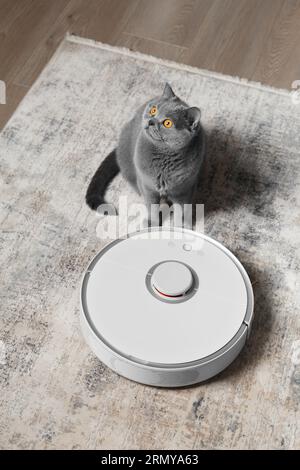 Gatto britannico vicino al robot aspirapolvere nel soggiorno. Il concetto di casa intelligente, facile pulizia quotidiana della casa in cui vivono gli animali domestici. Foto Stock