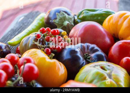 Coloratissimi pomodori heirloom su sfondo rustico grigio Foto Stock