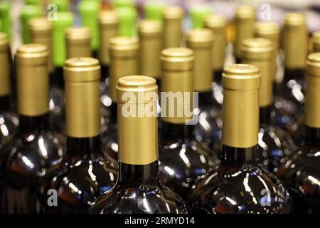 Bottiglie di vino rosso di fila, concentrazione selettiva. Negozio di alcolici, produzione di vino Foto Stock