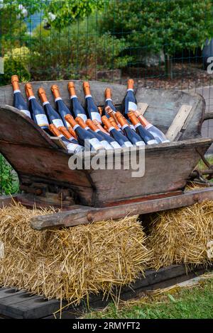 Durante la festa, all'aperto vengono servite molte bottiglie di champagne e vino frizzante. Costa des Bar, Aube, a sud di Champagne, Francia in estate Foto Stock