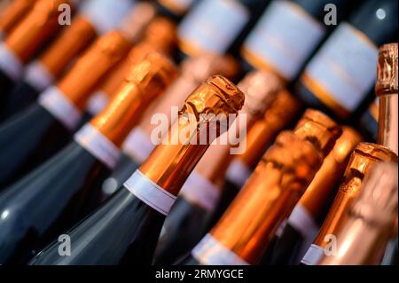 Durante la festa, all'aperto vengono servite molte bottiglie di champagne e vino frizzante. Costa des Bar, Aube, a sud di Champagne, Francia in estate Foto Stock