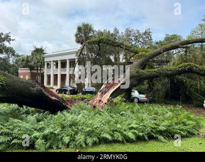 Tallahassee, Stati Uniti. 30 agosto 2023. Un albero di quercia di 100 anni cadde nella Florida Governor's Mansion a Tallahassee mercoledì 30 agosto 2023, mentre l'uragano Idalia sbarcò nel Sunshine State. Secondo Casey DeSantis, la moglie del governatore della Florida Ron DeSantis, che ha condiviso la foto sul suo account X sui social media, lei e i loro tre figli erano a casa all'epoca, ma erano tutti al sicuro. Foto via Casey DeSantis/UPI credito: UPI/Alamy Live News Foto Stock
