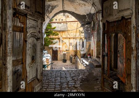 Un gattino o gatto bianco gioca alla luce del sole sui gradini di un vicolo lungo la via dolorosa, il sentiero che Gesù ha percorso verso la crocifissione a Gerusalemme in Israele. Foto Stock