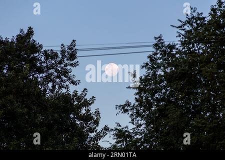 Luna nel cielo di Rio de Janeiro, Brasile. Foto Stock