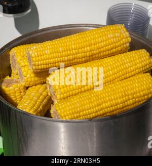 Un venditore di strada cuoce il mais in una pentola e lo vende. Molto mais dolce, delizioso e bollito. Foto Stock