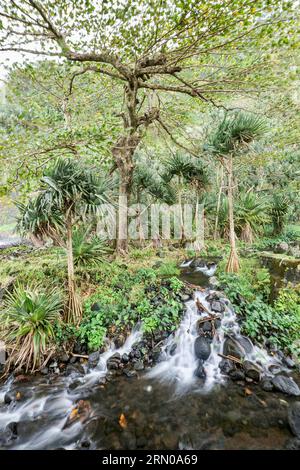 Cascade de la Reunion voile de la mariée Foto Stock