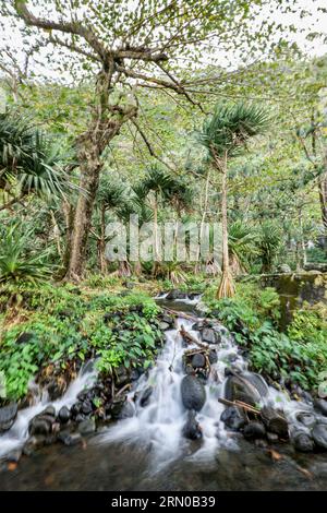 Cascade de la Reunion voile de la mariée Foto Stock