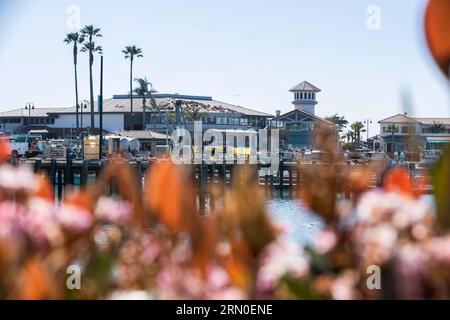 Vista diurna del porticciolo pubblico di Ventura Harbor a Ventura, California, Stati Uniti. Foto Stock