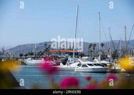 Vista diurna del porticciolo pubblico di Ventura Harbor a Ventura, California, Stati Uniti. Foto Stock