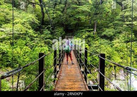 Ponte sospeso di Arakawa, trekking in pioggia, parco terrestre di Yakusugi, isola di Yakushima, Kagoshima, Giappone, Asia Foto Stock