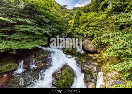 Shirotaenotaki (caduta shirotae), Shirotae-no-taki, fiume Shitatani, scoglio Shiratani Unsuikyo, isola di Yakushima, Kagoshima, Giappone, Asia Foto Stock