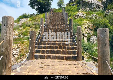 Scalinata di ciottoli con recinzione fatta di pali di legno e corde circondate da erba, erbe e fiori. Scale su un sentiero escursionistico Foto Stock