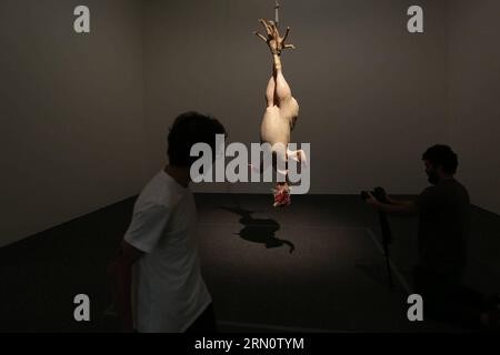 (141120) -- SAN PAOLO, 19 novembre 2014 -- i visitatori guardano la scultura intitolata STILL Life dell'artista australiano Ron Mueck, a San Paolo, Brasile, il 19 novembre 2014. Una mostra di Ron Mueck si terrà presso la Pinacoteca dello Stato di San Paolo dal 20 novembre al 15 febbraio. ) (jp) BRAZIL-SAO PAULO-CULTURE-EXHIBITION RahelxPatrasso PUBLICATIONxNOTxINxCHN Sao Paulo Nov 19 2014 i visitatori assistono alla scultura intitolata Quiet Life dell'artista australiano Ron Mueck a San Paolo Brasile IL 19 novembre 2014 alla mostra di Ron Mueck sarà eroe ALLO stato di San Paolo dal 20 al 15 febbraio JP Brazil Sao Foto Stock