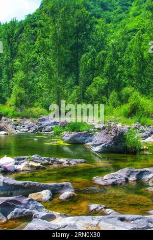 Abbracciate la bellezza serena di un fiume adornato da torreggianti alberi verdi e un soffice e nuvoloso cielo blu, una scena di tranquillità naturale. Foto Stock